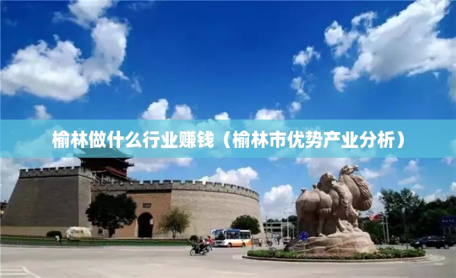榆林做什么行业赚钱（榆林市优势产业分析）