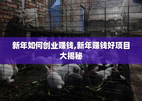 新年如何创业赚钱,新年赚钱好项目大揭秘
