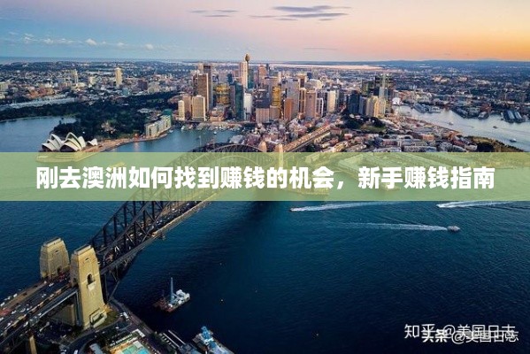 刚去澳洲如何找到赚钱的机会，新手赚钱指南