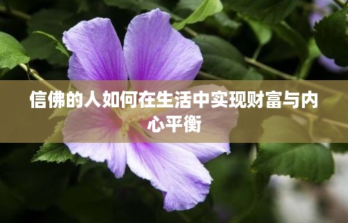 信佛的人如何在生活中实现财富与内心平衡