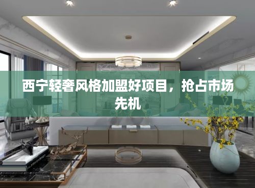 西宁轻奢风格加盟好项目，抢占市场先机