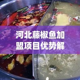 河北藤椒鱼加盟项目优势解析，藤椒鱼创业选择指南