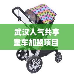武汉人气共享童车加盟项目 武汉共享儿童推车