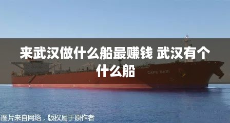 来武汉做什么船最赚钱 武汉有个什么船