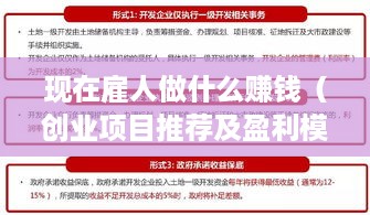 现在雇人做什么赚钱（创业项目推荐及盈利模式分析）