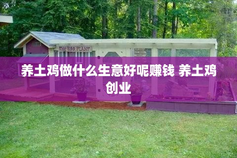 养土鸡做什么生意好呢赚钱 养土鸡创业