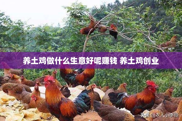 养土鸡做什么生意好呢赚钱 养土鸡创业