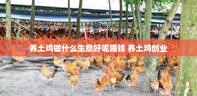 养土鸡做什么生意好呢赚钱 养土鸡创业
