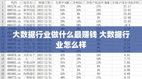 大数据行业做什么最赚钱 大数据行业怎么样