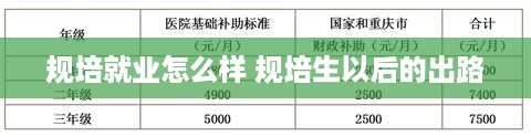 规培就业怎么样 规培生以后的出路