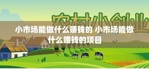 小市场能做什么赚钱的 小市场能做什么赚钱的项目