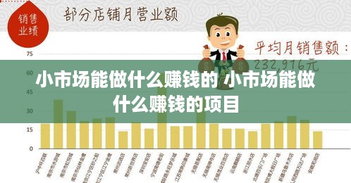小市场能做什么赚钱的 小市场能做什么赚钱的项目