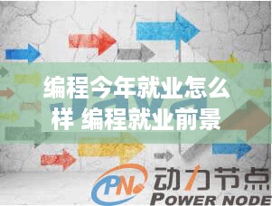 编程今年就业怎么样 编程就业前景