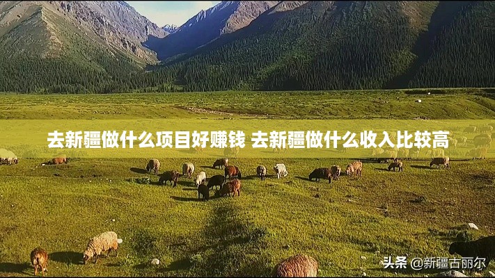去新疆做什么项目好赚钱 去新疆做什么收入比较高