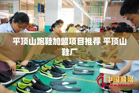 平顶山跑鞋加盟项目推荐 平顶山鞋厂