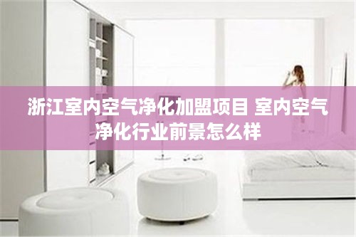 浙江室内空气净化加盟项目 室内空气净化行业前景怎么样