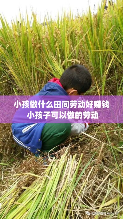 小孩做什么田间劳动好赚钱 小孩子可以做的劳动