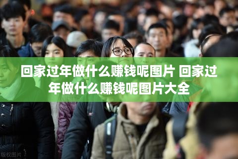 回家过年做什么赚钱呢图片 回家过年做什么赚钱呢图片大全