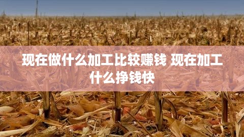 现在做什么加工比较赚钱 现在加工什么挣钱快