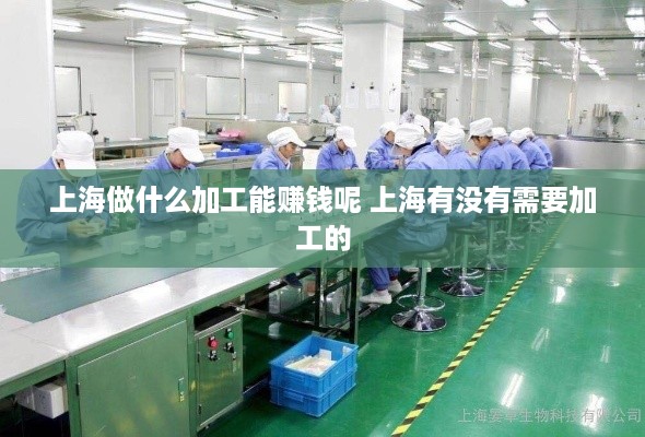上海做什么加工能赚钱呢 上海有没有需要加工的