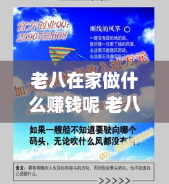 老八在家做什么赚钱呢 老八在家做什么赚钱呢图片