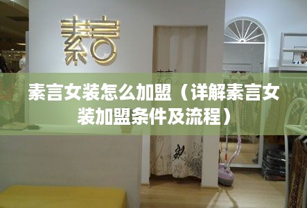 素言女装怎么加盟（详解素言女装加盟条件及流程）