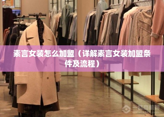素言女装怎么加盟（详解素言女装加盟条件及流程）