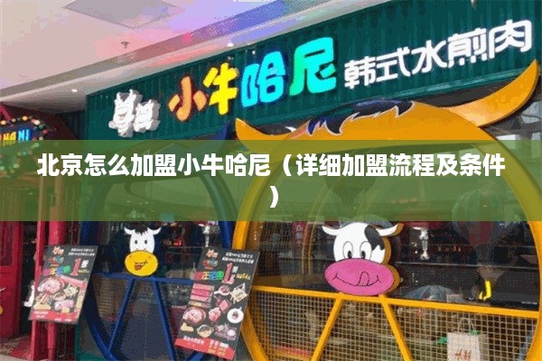 北京怎么加盟小牛哈尼（详细加盟流程及条件）
