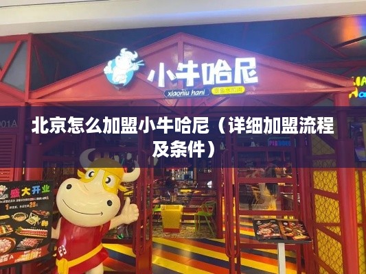 北京怎么加盟小牛哈尼（详细加盟流程及条件）