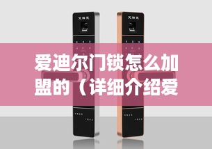 爱迪尔门锁怎么加盟的（详细介绍爱迪尔门锁加盟流程）
