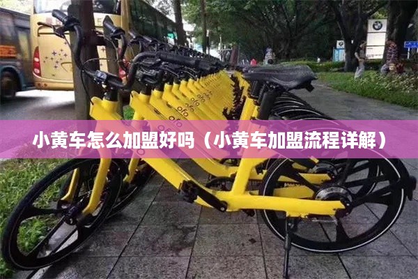 小黄车怎么加盟好吗（小黄车加盟流程详解）
