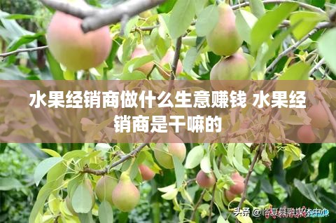 水果经销商做什么生意赚钱 水果经销商是干嘛的