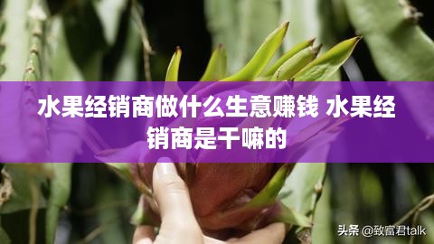 水果经销商做什么生意赚钱 水果经销商是干嘛的