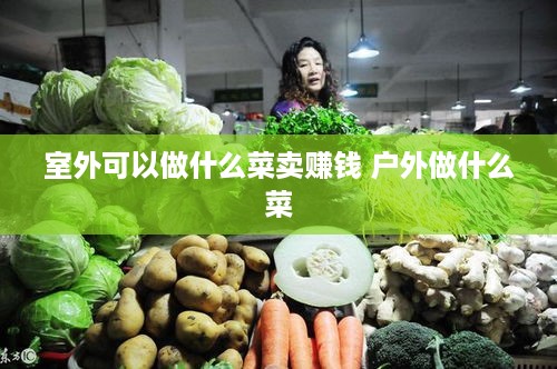 室外可以做什么菜卖赚钱 户外做什么菜