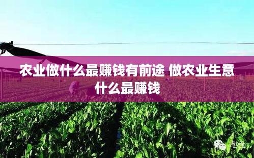 农业做什么最赚钱有前途 做农业生意什么最赚钱