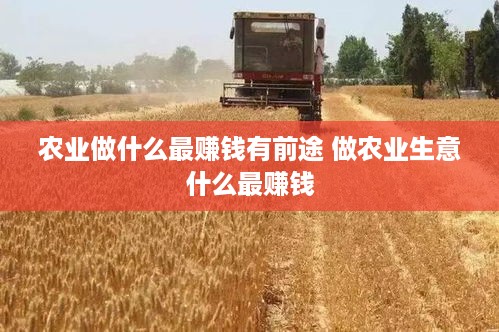 农业做什么最赚钱有前途 做农业生意什么最赚钱