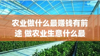 农业做什么最赚钱有前途 做农业生意什么最赚钱