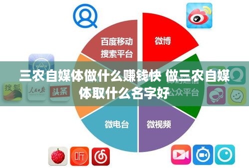 三农自媒体做什么赚钱快 做三农自媒体取什么名字好
