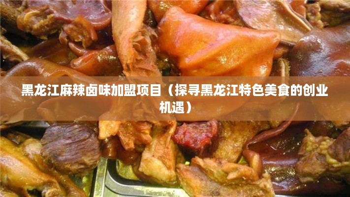 黑龙江麻辣卤味加盟项目（探寻黑龙江特色美食的创业机遇）