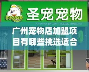 广州宠物店加盟项目有哪些挑选适合你的加盟计划