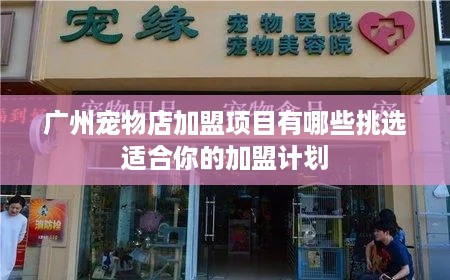 广州宠物店加盟项目有哪些挑选适合你的加盟计划