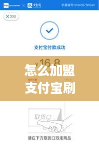 怎么加盟支付宝刷脸项目，支付宝刷脸加盟流程详解