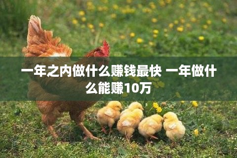 一年之内做什么赚钱最快 一年做什么能赚10万