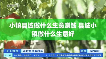 小镇县城做什么生意赚钱 县城小镇做什么生意好