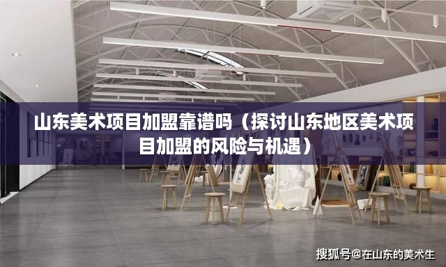 山东美术项目加盟靠谱吗（探讨山东地区美术项目加盟的风险与机遇）