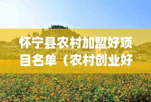怀宁县农村加盟好项目名单（农村创业好项目推荐）
