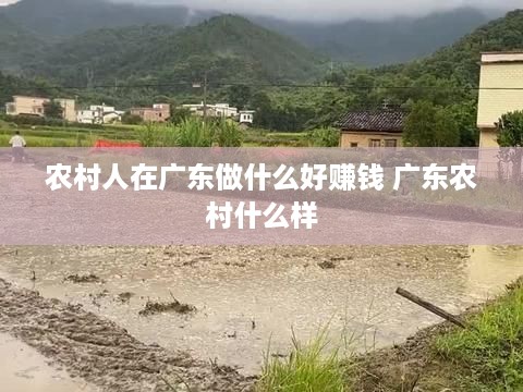 农村人在广东做什么好赚钱 广东农村什么样