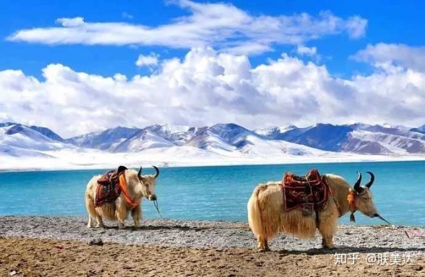 青海西藏做什么生意赚钱 青海西藏做什么生意赚钱多