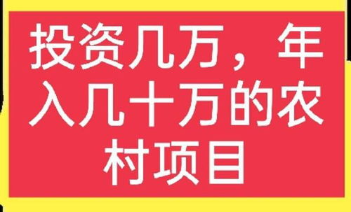 做什么能快速赚钱正规的 做什么可以快速的赚钱