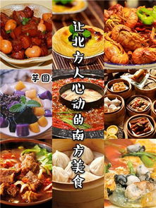 南方美食加盟品牌有哪些（南方美食加盟店推荐）